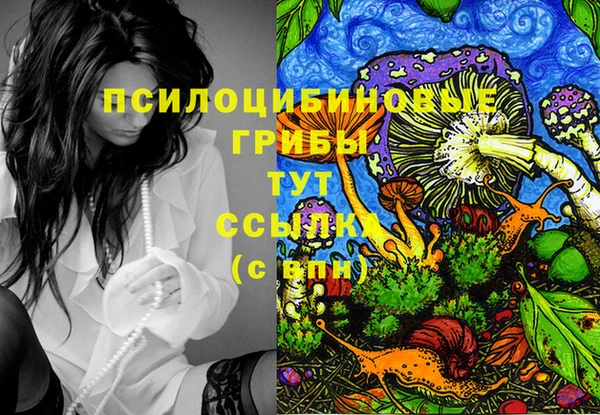 прущие грибы Краснотурьинск