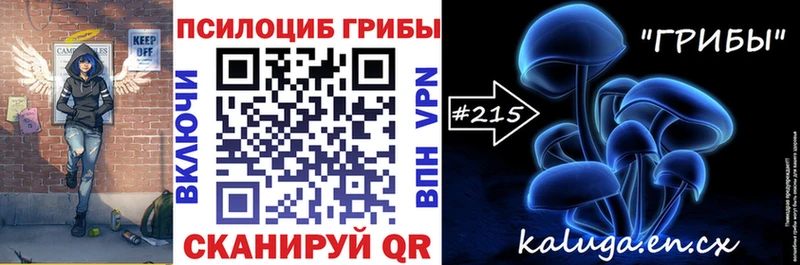 купить закладку  Томилино  Псилоцибиновые грибы Magic Shrooms 